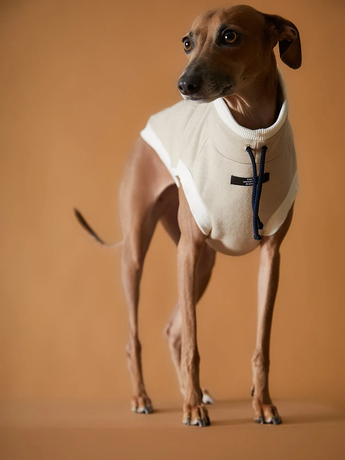 Italian Greyhound / Whippet Sand Turtleneck Vest SOPHIE