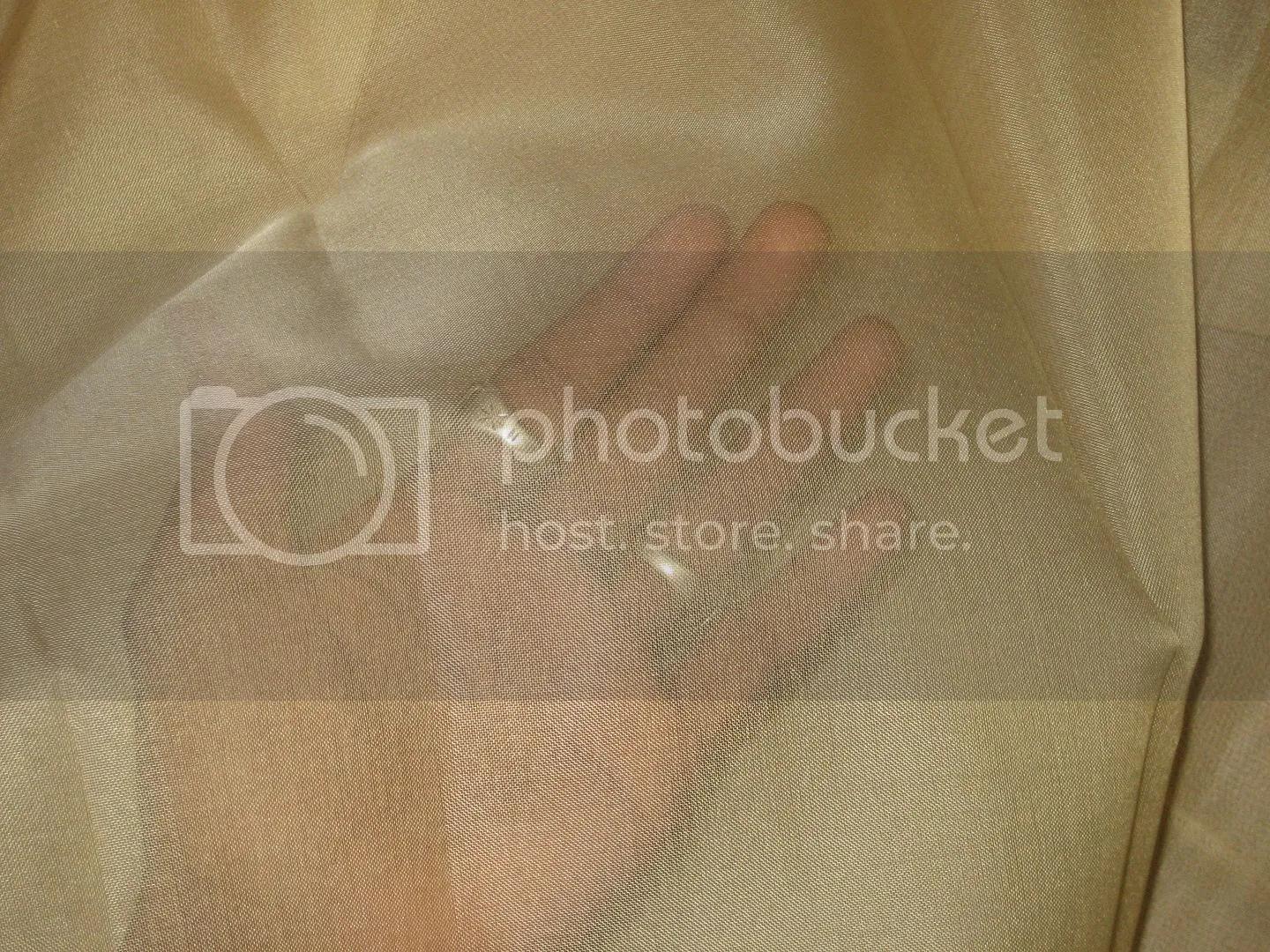 Light CHAMPAGNE SILK ORGANZA FABRIC 44&quot; WIDE